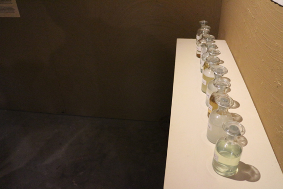 Curatorial Projects